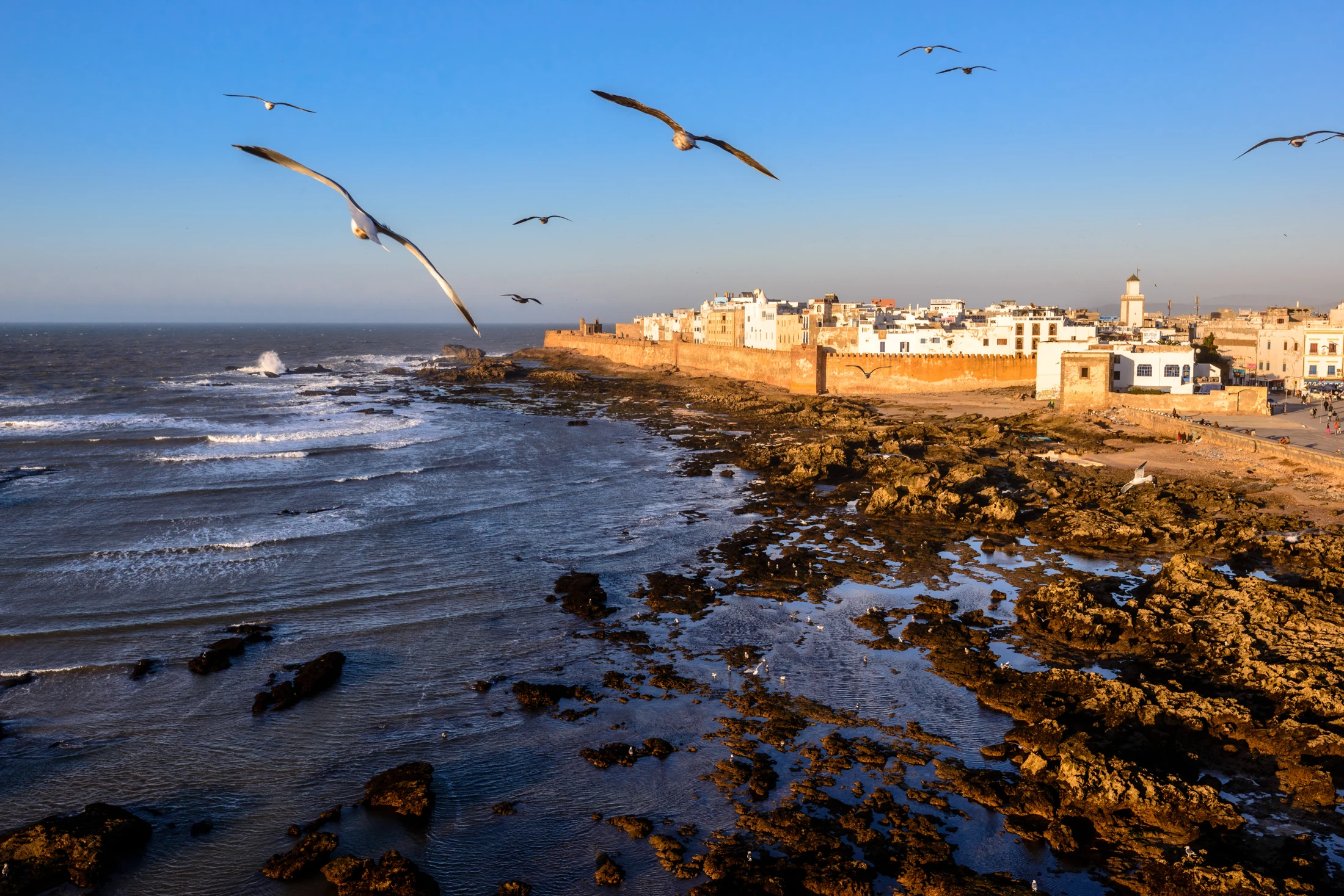 Essaouira et la côte atlantique — Sergey Pesterev